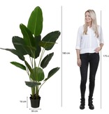 VidaXL Kunstplant Bananenboom in Pot - H180 x Ø30 cm - Groen
