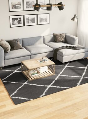 vidaXL Vloerkleed shaggy hoogpolig modern 200x280 cm zwart en crème