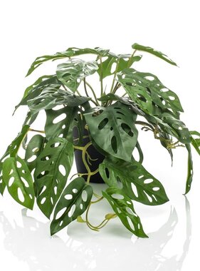 vidaXL Kunstplant in pot Monkey monstera struik 55 cm