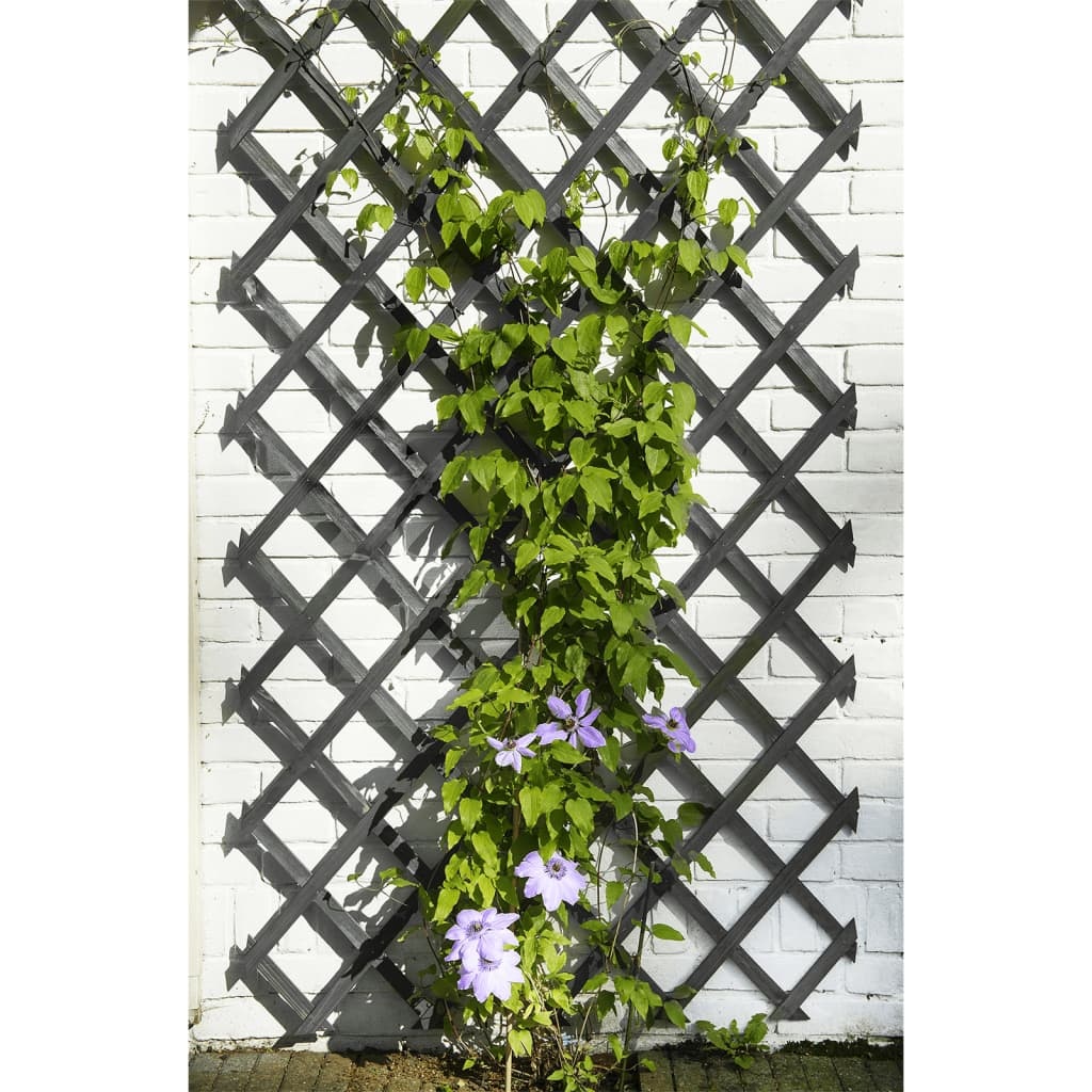 VidaXL Tuinlatwerk 50x150 cm hout antracietkleurig