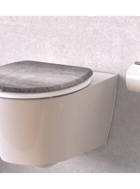 vidaXL Toiletbril met soft-close INDUSTRIAL GREY