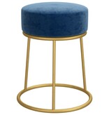 vidaXL Hocker rond fluweel blauw