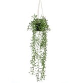 vidaXL Kunstplant hangend in pot senecio 70 cm