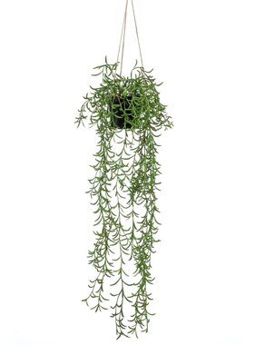 vidaXL Kunstplant hangend in pot senecio 70 cm