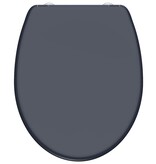 vidaXL Toiletbril met soft-close quick-release ANTHRAZIT duroplast