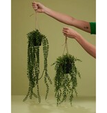 vidaXL Kunstplant hangend in pot ficus pumila 60 cm