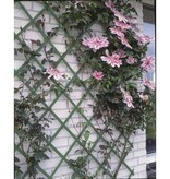 vidaXL Plantenklimrek 100x200 cm PVC groen 6040704