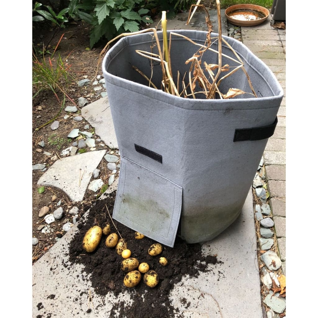 VidaXL Aardappelkweekzak 37 L antracietkleurig