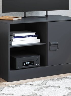VidaXL Tv-meubel 67x39x44 cm staal zwart