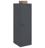 VidaXL Dressoir 34,5x39x107 cm staal antracietkleurig