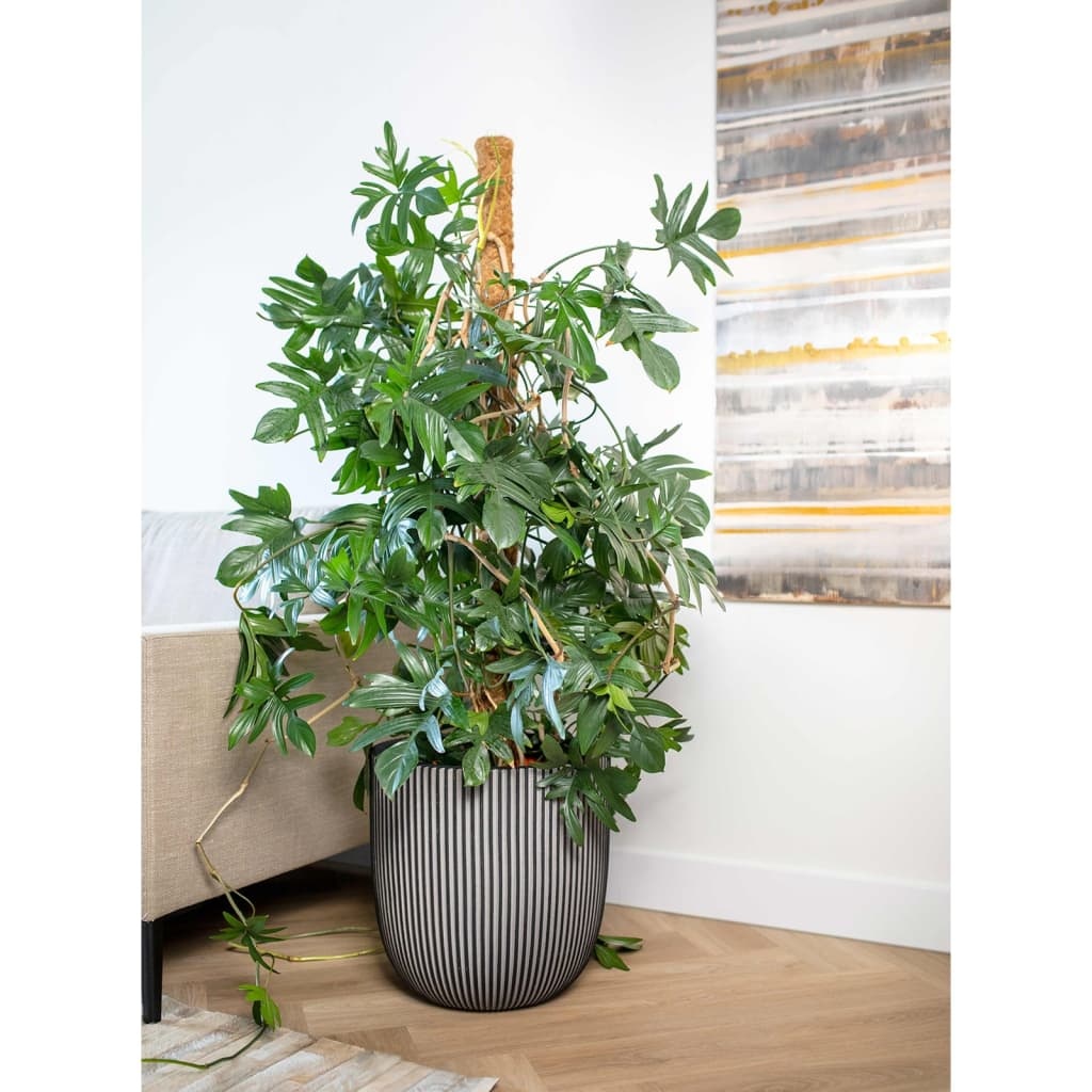 VidaXL Plantenbak Groove 35x34 cm antracietkleurig