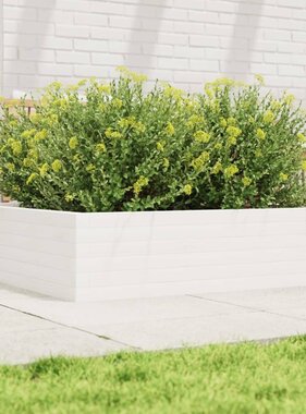 VidaXL Plantenbak 90x90x23 cm massief grenenhout wit