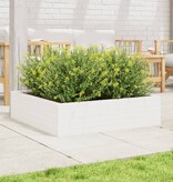 VidaXL Plantenbak 90x90x23 cm massief grenenhout wit