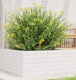 VidaXL Plantenbak 60x60x23 cm massief grenenhout wit
