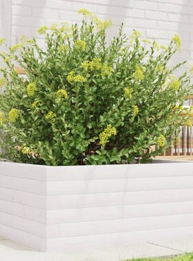 VidaXL Plantenbak 60x60x23 cm massief grenenhout wit