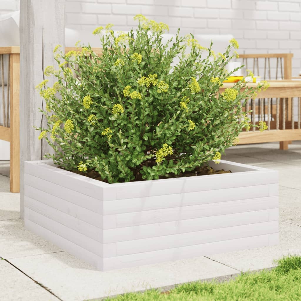 VidaXL Plantenbak 60x60x23 cm massief grenenhout wit