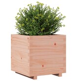 VidaXL Plantenbak 50x50x49,5 cm massief douglashout