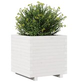 VidaXL Plantenbak 50x50x49,5 cm massief grenenhout wit