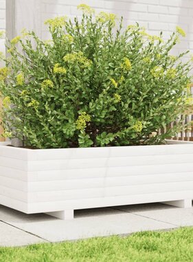 VidaXL Plantenbak 90x60x26,5 cm massief grenenhout wit