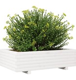VidaXL Plantenbak 90x60x26,5 cm massief grenenhout wit