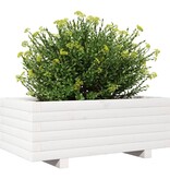 VidaXL Plantenbak 70x40x26,5 cm massief grenenhout wit