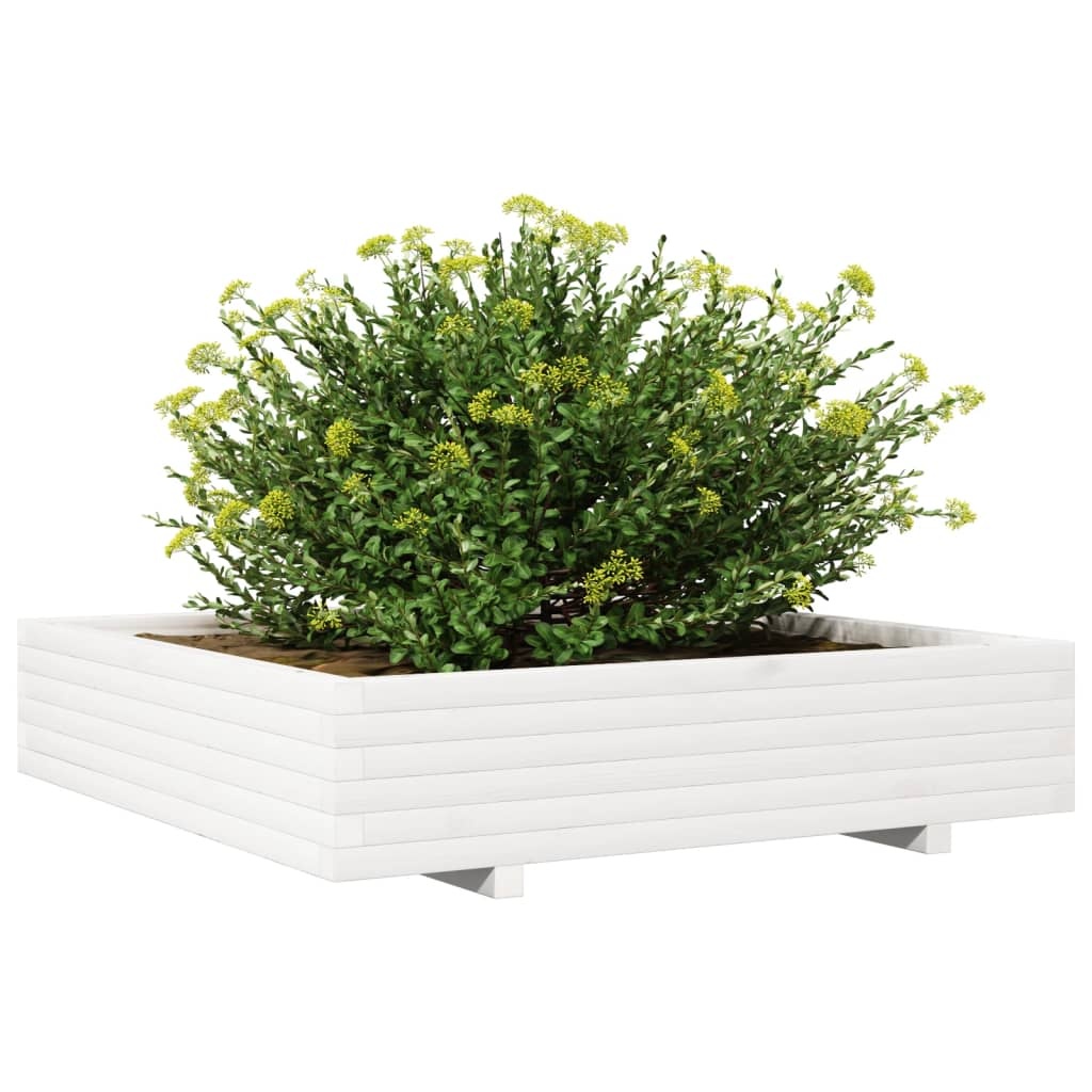 VidaXL Plantenbak 110x110x26,5 cm massief grenenhout wit