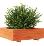 VidaXL Plantenbak 80x80x26,5 cm massief grenenhout wasbruin