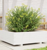 VidaXL Plantenbak 80x80x26,5 cm massief grenenhout wit