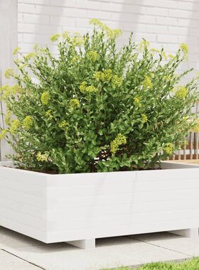 VidaXL Plantenbak 80x80x26,5 cm massief grenenhout wit