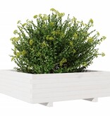 VidaXL Plantenbak 80x80x26,5 cm massief grenenhout wit