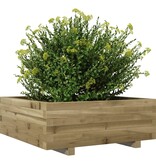 VidaXL Plantenbak 70x70x26,5 cm geïmpregneerd grenenhout