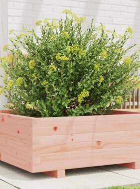 VidaXL Plantenbak 70x70x26,5 cm massief douglashout
