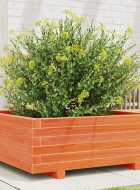 VidaXL Plantenbak 70x70x26,5 cm massief grenenhout wasbruin
