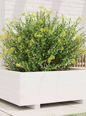 VidaXL Plantenbak 70x70x26,5 cm massief grenenhout wit