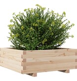 VidaXL Plantenbak 70x70x26,5 cm massief grenenhout