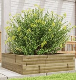 VidaXL Plantenbak 80x80x23 cm geïmpregneerd grenenhout