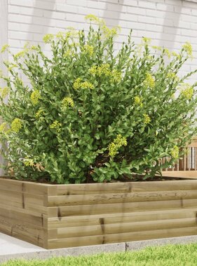 VidaXL Plantenbak 80x80x23 cm geïmpregneerd grenenhout