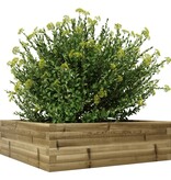 VidaXL Plantenbak 80x80x23 cm geïmpregneerd grenenhout