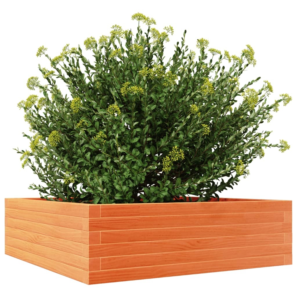 VidaXL Plantenbak 80x80x23 cm massief grenenhout wasbruin