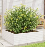 VidaXL Plantenbak 80x80x23 cm massief grenenhout wit