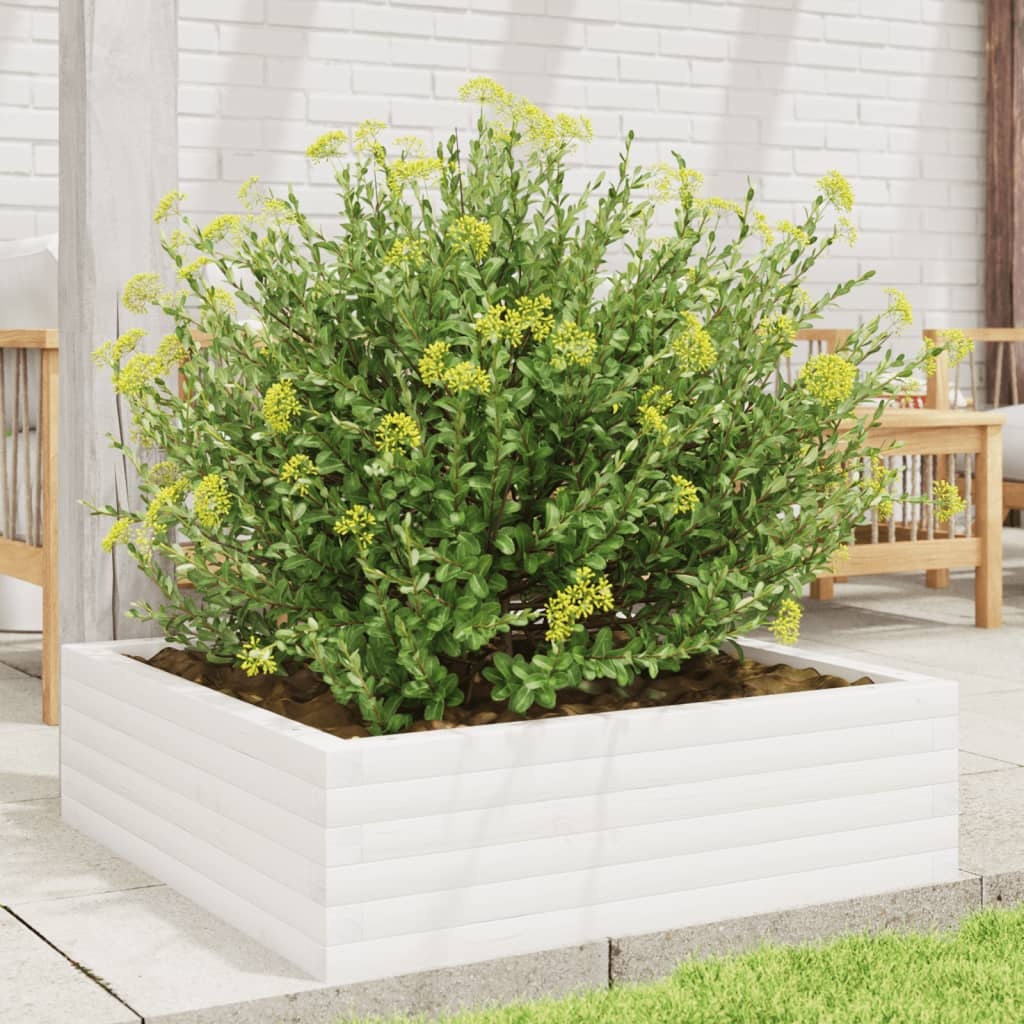 VidaXL Plantenbak 80x80x23 cm massief grenenhout wit
