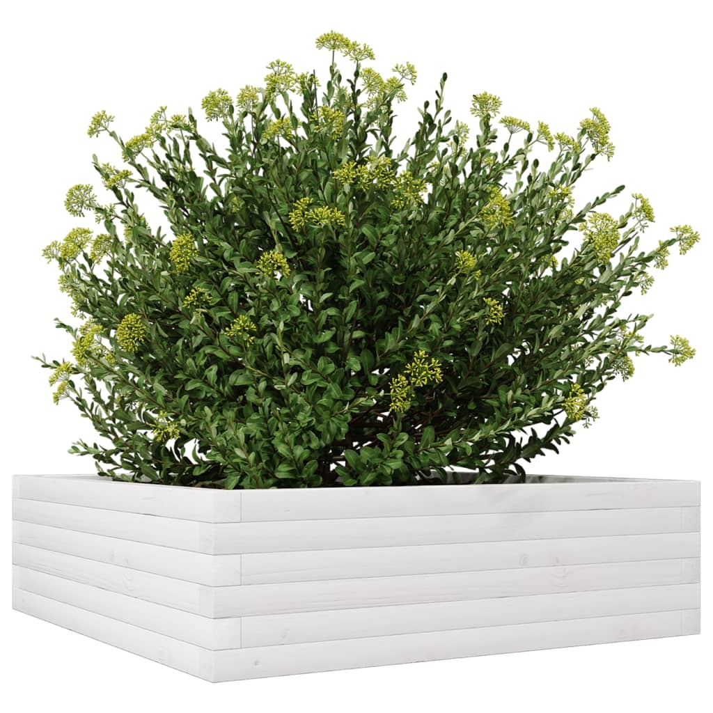 VidaXL Plantenbak 80x80x23 cm massief grenenhout wit