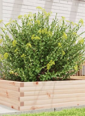 VidaXL Plantenbak 80x80x23 cm massief grenenhout