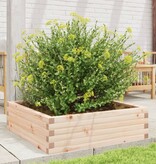 VidaXL Plantenbak 80x80x23 cm massief grenenhout