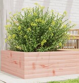 VidaXL Plantenbak 60x60x23 cm massief douglashout