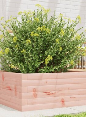 VidaXL Plantenbak 60x60x23 cm massief douglashout