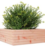 VidaXL Plantenbak 60x60x23 cm massief douglashout