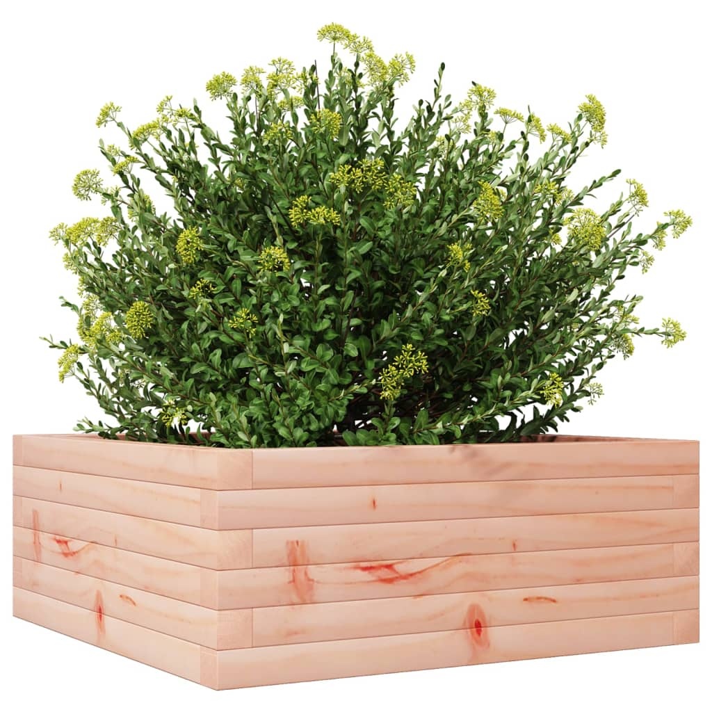 VidaXL Plantenbak 60x60x23 cm massief douglashout