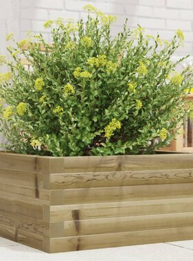 VidaXL Plantenbak 50x50x23 cm geïmpregneerd grenenhout