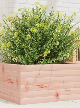 VidaXL Plantenbak 50x50x23 cm massief douglashout
